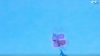 Parachute fails during skydiving stunt [upl. by Yeltsew]