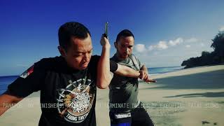 Sabayan A Knife Drill with Finishing Moves  Filipino Martial Arts [upl. by Dolloff]