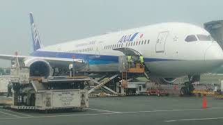 Ana Airlines Boeing B78710 preparing for departure [upl. by Ttezil918]