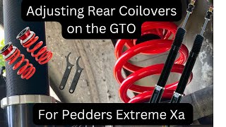 GTO Pedders Extreme Xa Rear CoilOver Adjusting [upl. by Tsiuqram]