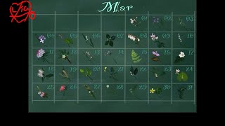 【366花語Mar】華語｜美語｜台語｜日語 [upl. by Steere]