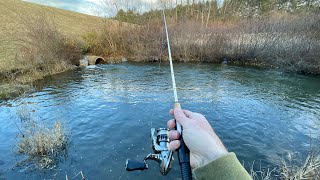 Fishing a Tiny Spillway for TROUT [upl. by Ejrog]