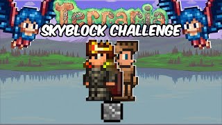 Terraria One Block Challenge WMods [upl. by Xeno]