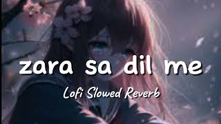 Zara Sa Dil Me  Lofi Slowed Reverb  Hindi Song [upl. by Ahsilahs165]