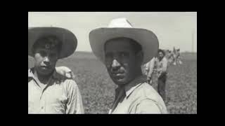 The Bracero Program [upl. by Nev]