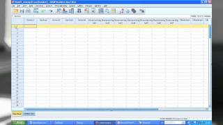 Hvordan legge inn svar i SPSS [upl. by Teodor]