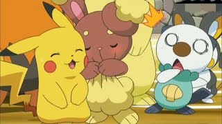 Oshawott is shocked  Buneary love pikachu  piplup is laughing on oshawott [upl. by Odraccir]