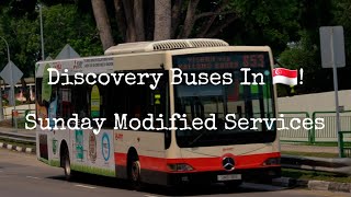 Discovery Buses In Singapore 133  Sunday Modified Bus Services [upl. by Phaih]