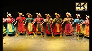 Ballet Folklórico de México  ADELITAS 4K [upl. by Anemolif975]