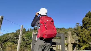 Hiking around Auckland 奥克兰周边徒步之Clevedon Scenic Reserve Auckland [upl. by Yelsnia682]