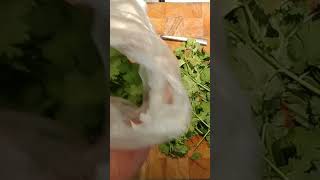 Non Chop Frozen Herbs frozenherbs herbs freezing kitchenhack foodhack cooking coriander [upl. by Marasco395]