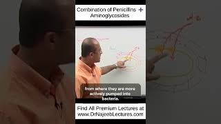 Combination Of Penicillins ➕️ Aminoglycosides shortvideo shorts drnajeeb drnajeeblectures [upl. by Ahsitul]