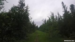 Portage  BWCA Entry Point 67 to Bog Lake in the BWCA [upl. by Garret769]