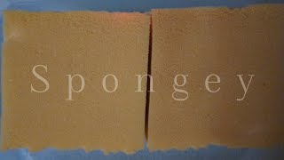 ASMR Sponge 🧽 Wet Squeezing Scratching Ripping Bleached and Non Bleached Foam 🧽 Bleach Week 24 [upl. by Ahsait]