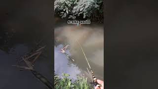 Micro fishing kontenmancing wader beunteur [upl. by Aeet550]