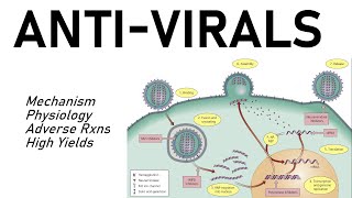 Antiviral Pharmacology [upl. by Koren]