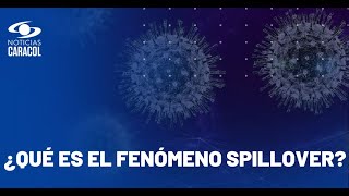 Alerta de la OMS por otra posible pandemia incluso más peligrosa que el COVID [upl. by Lytsirk]