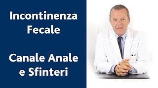 Anatomia del canale anale e muscoli sfinteri [upl. by Akisej]