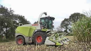 Lu Franzen Häckselt Mais für Die BGA in Pfalzdorf mit Claas Jaguar 940 und x6 Fendt x1 Claas [upl. by Sulihpoeht839]