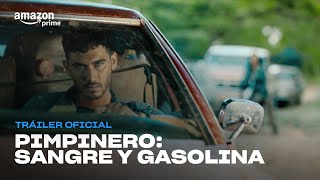 Pimpinero Sangre y Gasolina  Tráiler Oficial I Prime Video [upl. by Nema]