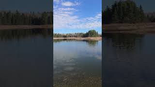 Cornwall Creek Flooding dam repair low water levels [upl. by Polloch]