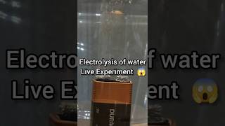 Electrolysis of water 💥science experiment Electrolysis shorts 🧪 [upl. by Septima]