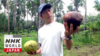 Coconut Entrepreneur Tackling Poverty Mizui Yu  FRONTRUNNERS [upl. by Clorinda]