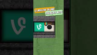 LE MEILLEUR DE VINE 176 vinefrance vinefrancais vine compilation [upl. by Ken]