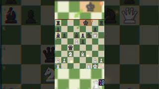 SLIGHTLY BETTER Mikhail Tal Vs Auer Martin chess [upl. by Willner711]