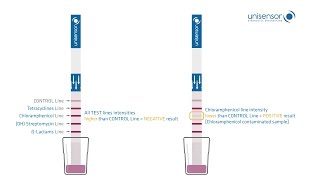 Dipstick Multiplexing  4Sensor [upl. by Luella]