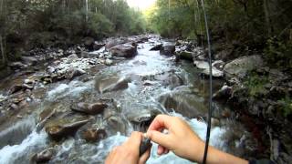 Sortie en torrent le 9 aout pêche à lultra léger  hautes alpes [upl. by Elvah]