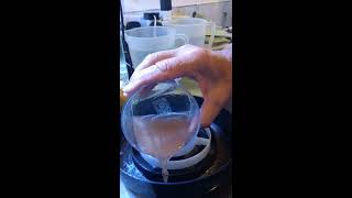 Easy way to separate baby brine shrimp [upl. by Lamont]