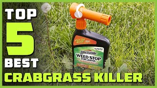 Best Crabgrass Killer in 2024  Top 5 Crabgrass Killers Review [upl. by Domenic]