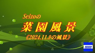 Seizoの菜園風景《2024119の風景》 [upl. by Eiboh]