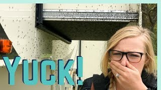 RV LIVING ISNT ALWAYS FUN MIDGE INFESTATION amp CROSSING MACKINAC BRIDGE [upl. by Mayfield]