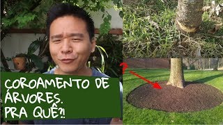 Você DEVE COROAR as suas plantas Entenda [upl. by Mathilda259]