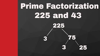 Prime fctorization of 225 and 43  BonusFactor tree for 42 [upl. by Eillod]