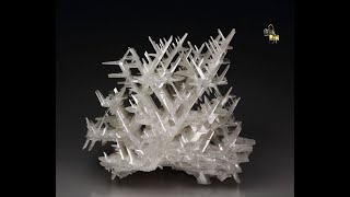 21533  Reticulated CERUSSITE Nakhlak Mine [upl. by Shrier]