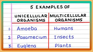 EXAMPLES OF UNICELLULAR AND MULTICELLULAR ORGANISMS [upl. by Romo757]