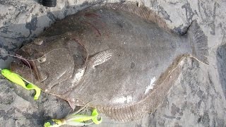 Inlet Flounder Fishing  6pound Fluke on the Rocks [upl. by Ahsanat]