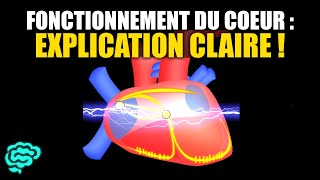 🔴 La Physiologie Cardiaque Expliquée Très Clairement par Dr Astuce [upl. by Drawde]