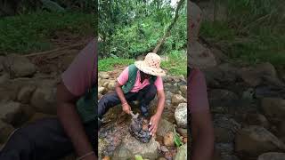 Poor Man Finds Gem on the River Bank 💎🌊 Gemstone Discovery TreasureHunt Gems [upl. by Nyloj]