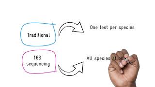 What is 16S sequencing [upl. by Kahn]