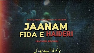 Jaanam Fida E Haideri  Slowed  Reverb  Sadiq Hussain  Kalam e Haider e Karar Mola Ali AS [upl. by Elreath]