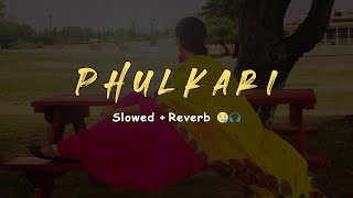 RANJIT BAWA  Phulkari SlowedReverb 🎧🤎 [upl. by Azaleah]