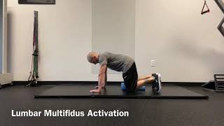 Lumbar Multifidus Activation [upl. by Lecram]