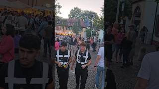 Security of Altstadtfest Speyer Night [upl. by Nylehtak]