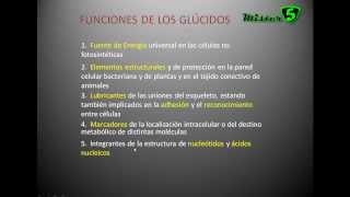 LOS GLUCIDOS carbohidratos hidratos de carbono o sacáridos Tipos y Funciones Mistercinco [upl. by Edas416]