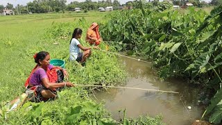 Fishing video  three lady catching big fish with hook in village mud canal water video fish [upl. by Gariepy296]