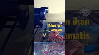 autofeeder resun AF 2003 automatic fish feeder ikanhias autofeeder shorts [upl. by Baerl]